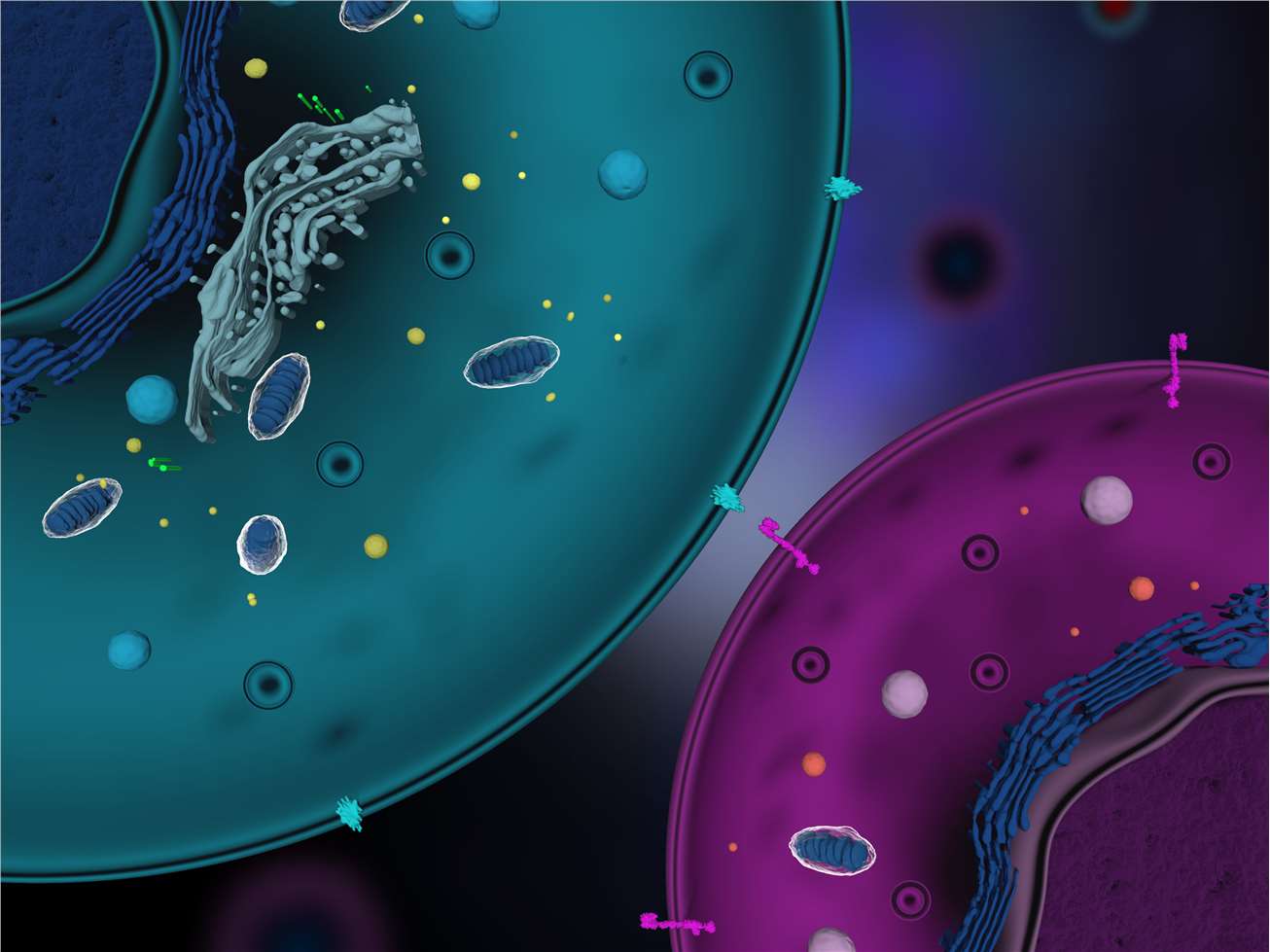 Strategies and Challenges for the Next Generation of Antibody-Drug Conjugates