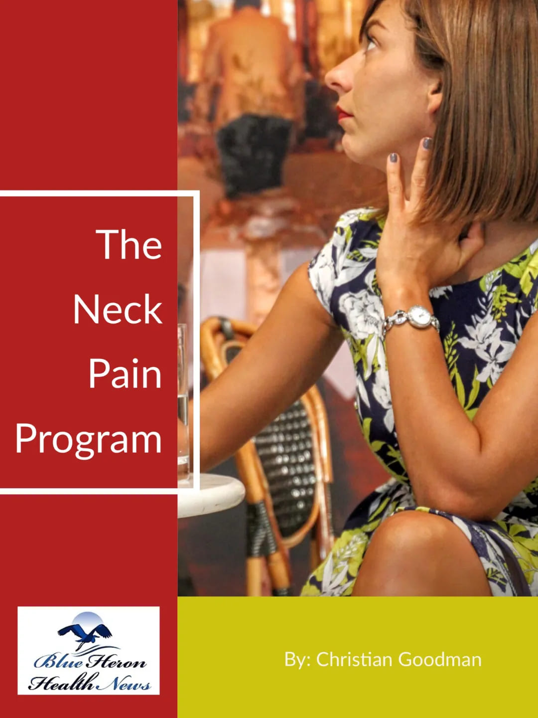 The Neck Pain Program PDF eBook