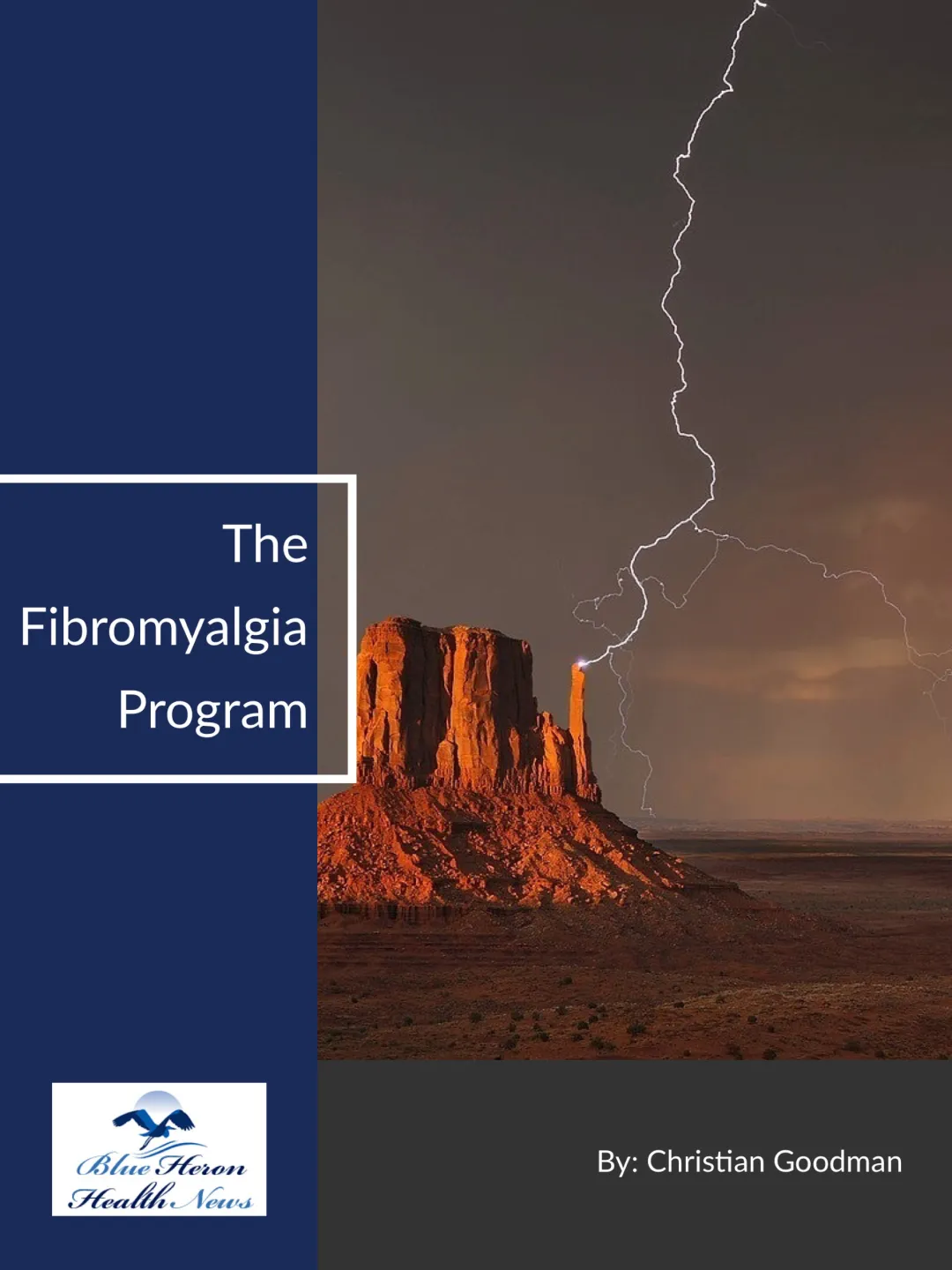 The Fibromyalgia Program PDF eBook by Christian Goodman
