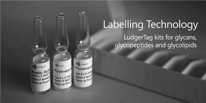 Amerigo Scientific Empowers Glycan Analysis by Expanding Its Portfolio of Glycan Labeling Kits